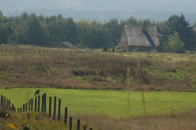 the Dungeness Spit